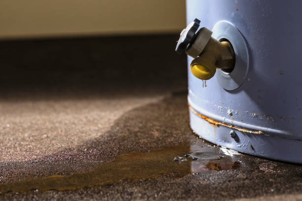 Best Professional water damage repair  in Las Cruces, NM