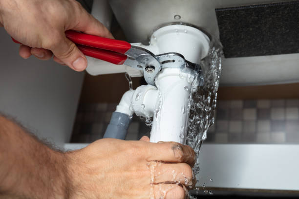 Best Basement water damage restoration  in Las Cruces, NM