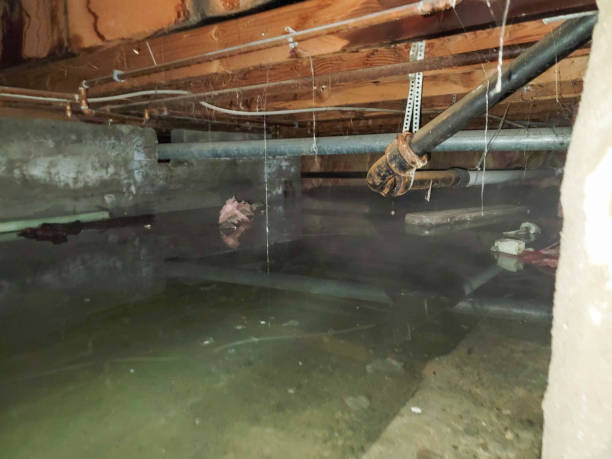 Best Water damage restoration near me  in Las Cruces, NM