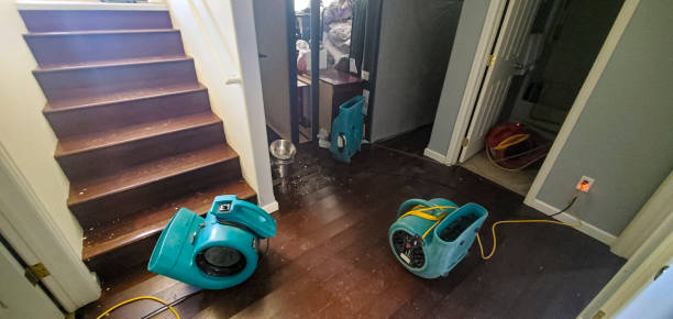 Best Flooded house restoration  in Las Cruces, NM