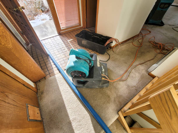 Best Commercial water damage restoration  in Las Cruces, NM
