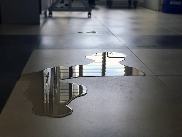 Best Water damage restoration near me  in Las Cruces, NM