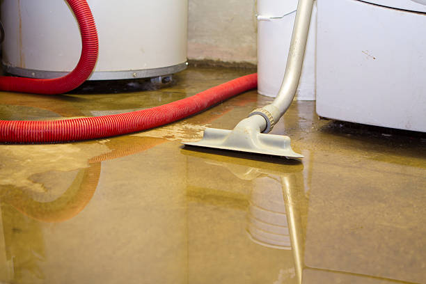 Best Water damage contractors near me  in Las Cruces, NM