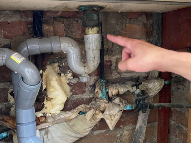 Water damage restoration mold remediation in NM
