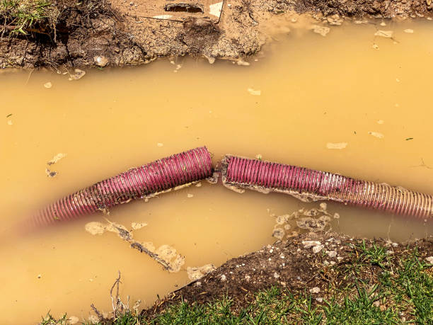 Best Sewage cleanup and water damage restoration  in Las Cruces, NM