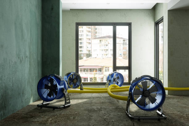 Best Ceiling water damage repair  in Las Cruces, NM
